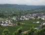 P9095158 (Large)